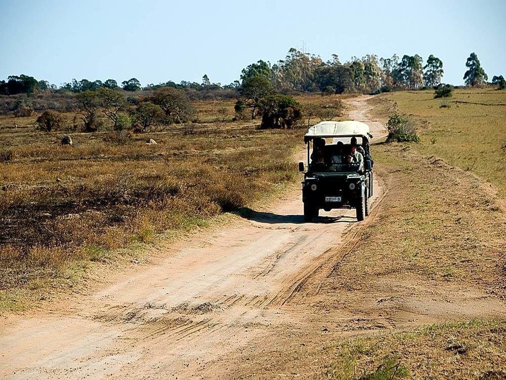 Inkwenkwezi Private Game Reserve Chintsa Eksteriør billede